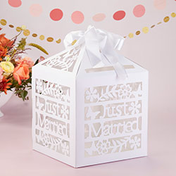 Just Married Birdcage Gift Card Box